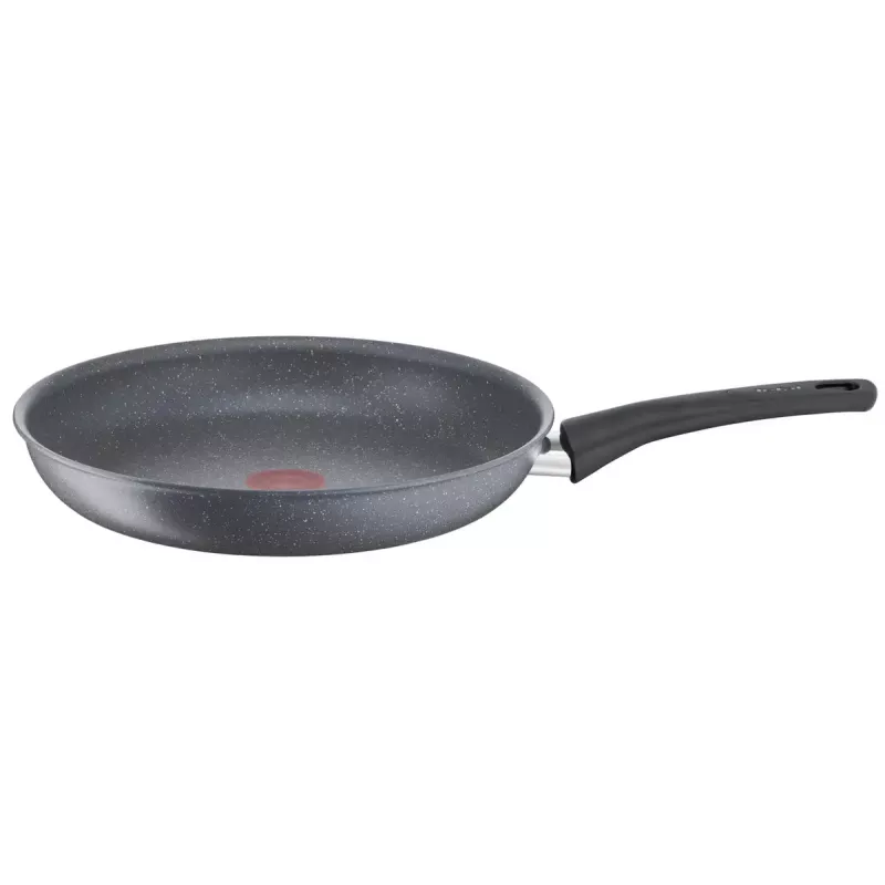 All-purpose pan Tefal Healthy Chef G15004 Round 24 cm Grey