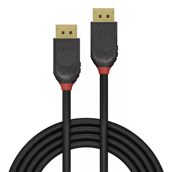 Lindy 36520 DisplayPort cable 1 m Black