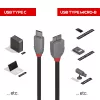 Lindy 1m USB 3.2 Type C to Micro-B Cable, Anthra Line, 1 m, USB C, Micro-USB B, USB 3.2 Gen 1 (3.1 Gen 1), Black