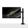 Lindy Single Adjustable Display Mount, 8 kg, 33 cm (13 inch), 81.3 cm (32 inch), 75 x 75 mm, 100 x 100 mm, Black