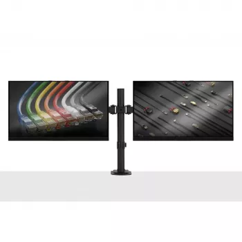 Lindy Dual Adjustable Display Mount, 8 kg, 33 cm (13 inch), 81.3 cm (32 inch), 75 x 75 mm, 100 x 100 mm, Black