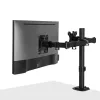 Lindy Dual Adjustable Display Mount, 8 kg, 33 cm (13 inch), 81.3 cm (32 inch), 75 x 75 mm, 100 x 100 mm, Black