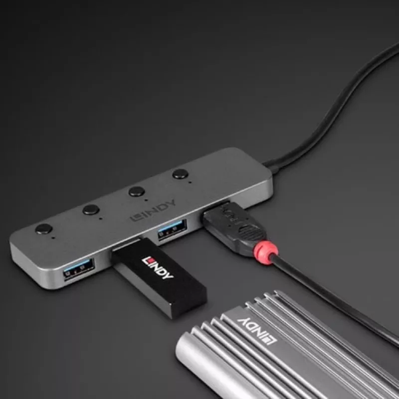 Lindy 4 Port USB 3.2 Type C Hub with On/Off Switches