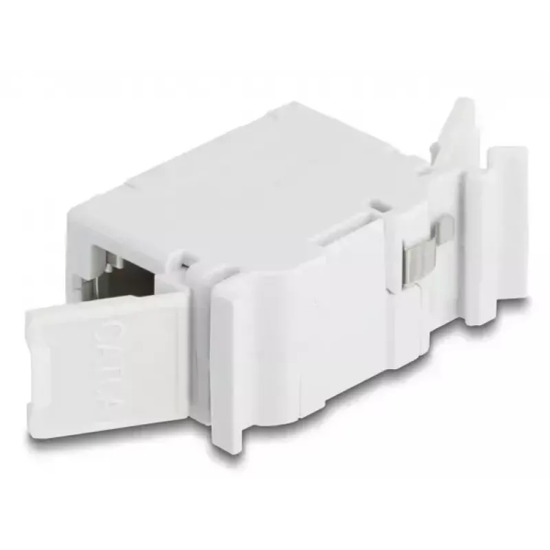 DeLOCK 90768 keystone module Flat Grey RJ-45