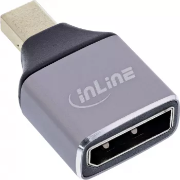 InLine 17291C cable gender changer DisplayPort Mini DisplayPort Grey, Black