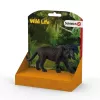 schleich WILD LIFE Black panther, 3 yr(s), Jungle, Wild animals / adventure toys, Multicolour, Plastic