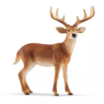 schleich WILD LIFE White-tailed buck, 3 yr(s), Forest, Wild animals / adventure toys, Multicolour, Plastic, 1 pc(s)