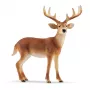schleich WILD LIFE White-tailed buck, 3 yr(s), Forest, Wild animals / adventure toys, Multicolour, Plastic, 1 pc(s)