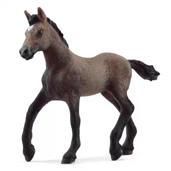 schleich HORSE CLUB Peruvian Paso Foal, 5 yr(s), Horses, Brown, Plastic