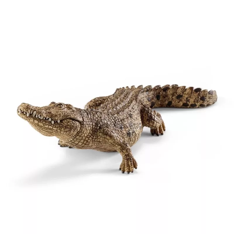 schleich WILD LIFE Crocodile, 3 yr(s), Safari, Wild animals / adventure toys, Multicolour, Plastic, 1 pc(s)