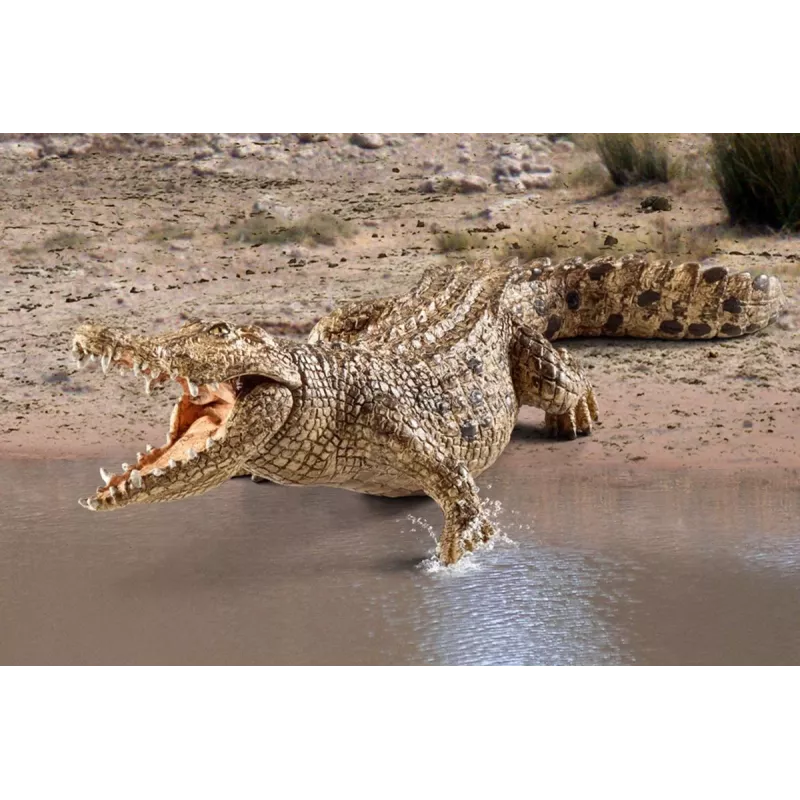 schleich WILD LIFE Crocodile, 3 yr(s), Safari, Wild animals / adventure toys, Multicolour, Plastic, 1 pc(s)