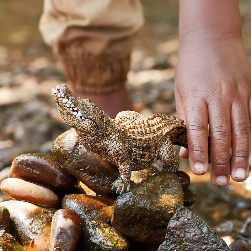 schleich WILD LIFE Crocodile, 3 yr(s), Safari, Wild animals / adventure toys, Multicolour, Plastic, 1 pc(s)