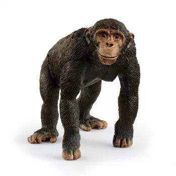 schleich WILD LIFE Chimpanzee, 3 yr(s), Multicolour