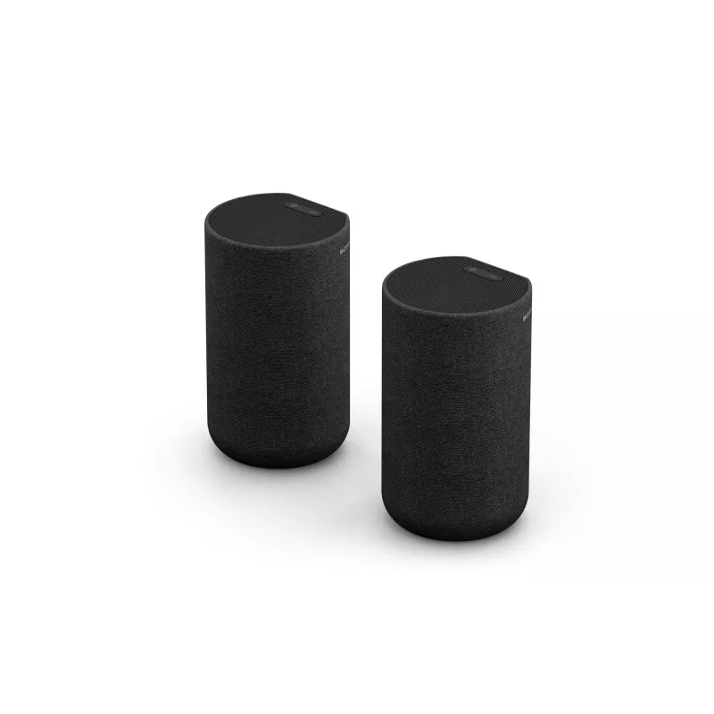 Sony SA-RS5 2-way Black Wired & Wireless 180 W