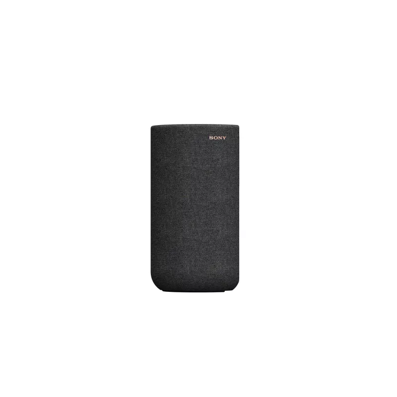 Sony SA-RS5 2-way Black Wired & Wireless 180 W