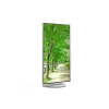 Sharp MultiSync EA272U computer monitor 68.6 cm (27 inch) 3840 x 2160 pixels 4K Ultra HD LCD White