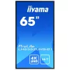 Digital signage flat panel IIYAMA LH6552UHS-B1 64.5 inch IPS 4K 3840x2160 500 cd/m² Android 8.0 24/7 Black