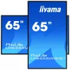 Digital signage flat panel IIYAMA LH6552UHS-B1 64.5 inch IPS 4K 3840x2160 500 cd/m² Android 8.0 24/7 Black