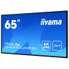 Digital signage flat panel IIYAMA LH6552UHS-B1 64.5 inch IPS 4K 3840x2160 500 cd/m² Android 8.0 24/7 Black