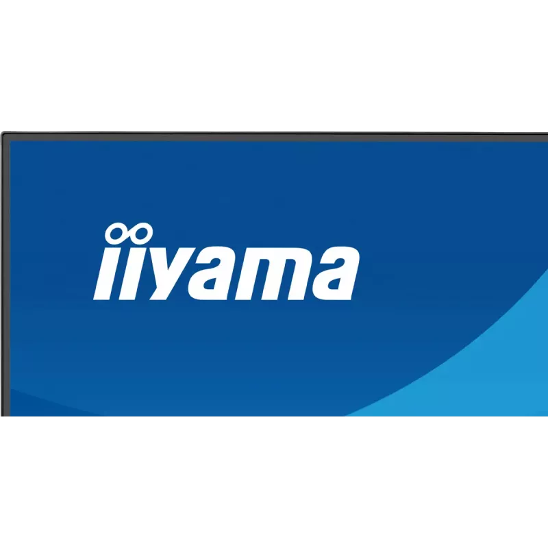 Monitor IIYAMA ProLite X2491HS-B1 23.8 inch (60.5 cm) Full HD IPS LCD, 1920×1080, 178° viewing angles, matt, built-in speakers, VESA, black