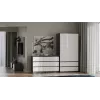 Chest of drawers Top E Shop MALWA M6 120 cm, 6 drawers, anthracite frame, white fronts