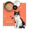 Wet cat food 3coty Turkey with duck 80 g pouch — complete adult grain-free wet food