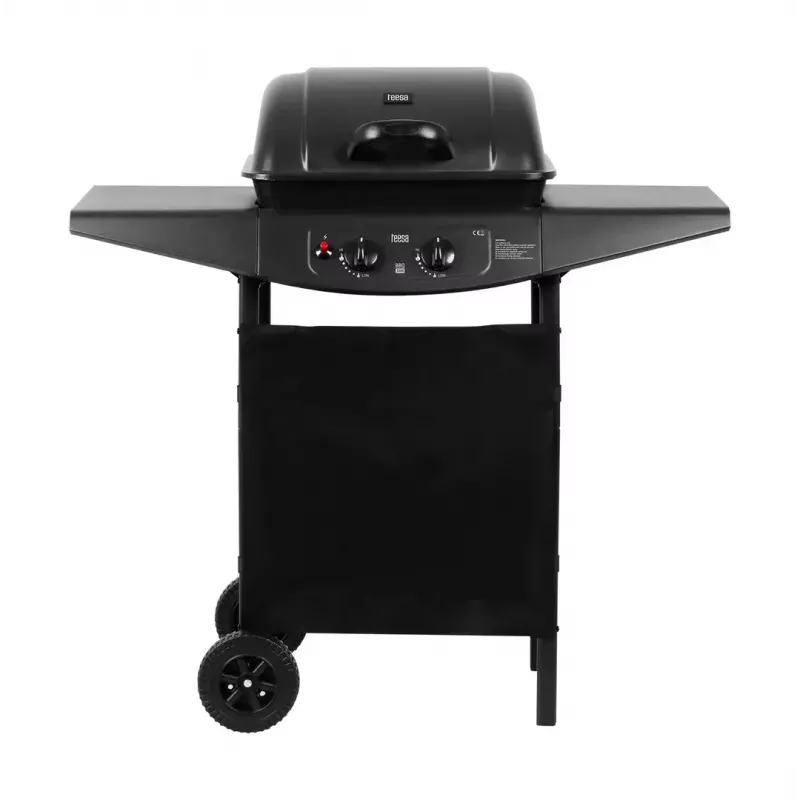 Gas grill TEESA TSA0080 — 2 burners, portable outdoor barbecue