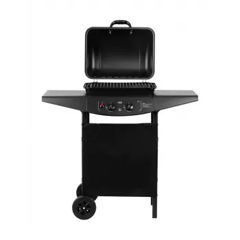 Gas grill TEESA TSA0080 — 2 burners, portable outdoor barbecue