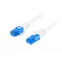 Networking Cable Lanberg PCF6A-10CC-0300-W RJ-45 Cat6a 3m White