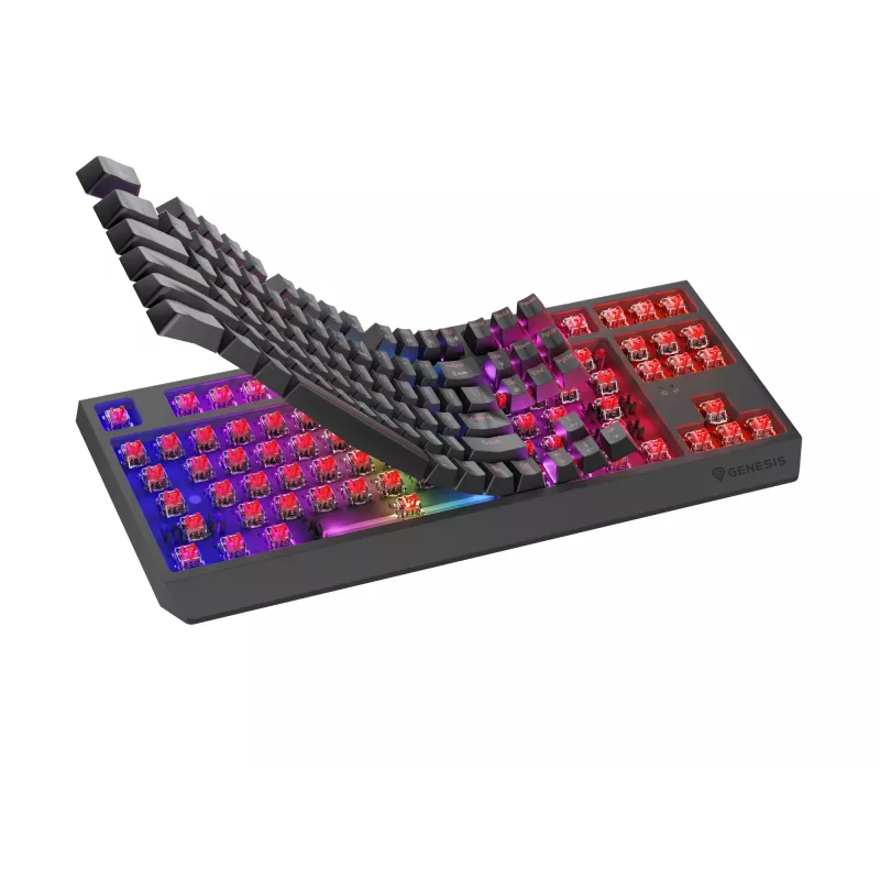 GENESIS Thor 230 TKL keyboard Gaming USB + RF Wireless + Bluetooth QWERTY Black