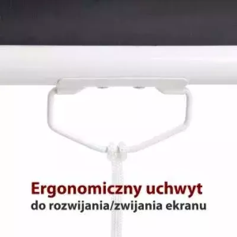 Projection screen ART ER M96 1:1