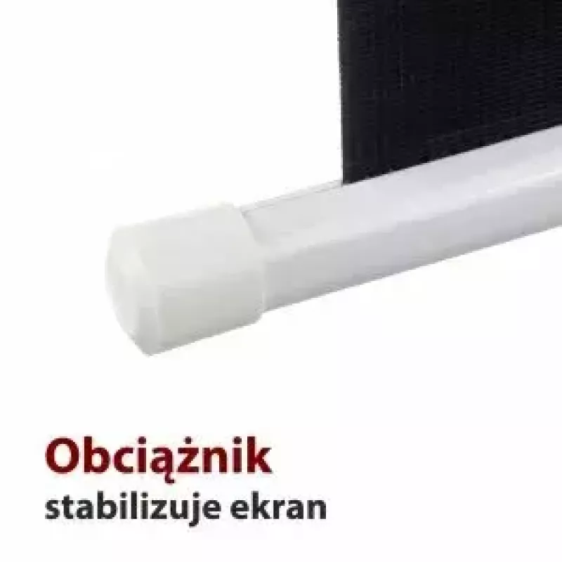 Projection screen ART ER M96 1:1