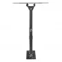 Wall mount MACLEAN MC-700N VESA 200x200 for 23–43 inch screens, max 30 kg, black