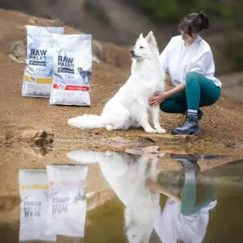 Dry dog food VETEXPERT RAW PALEO Ultra Medium & Large Adult Turkey — 2 kg, grain-free, protein 24.5%, fat 14%