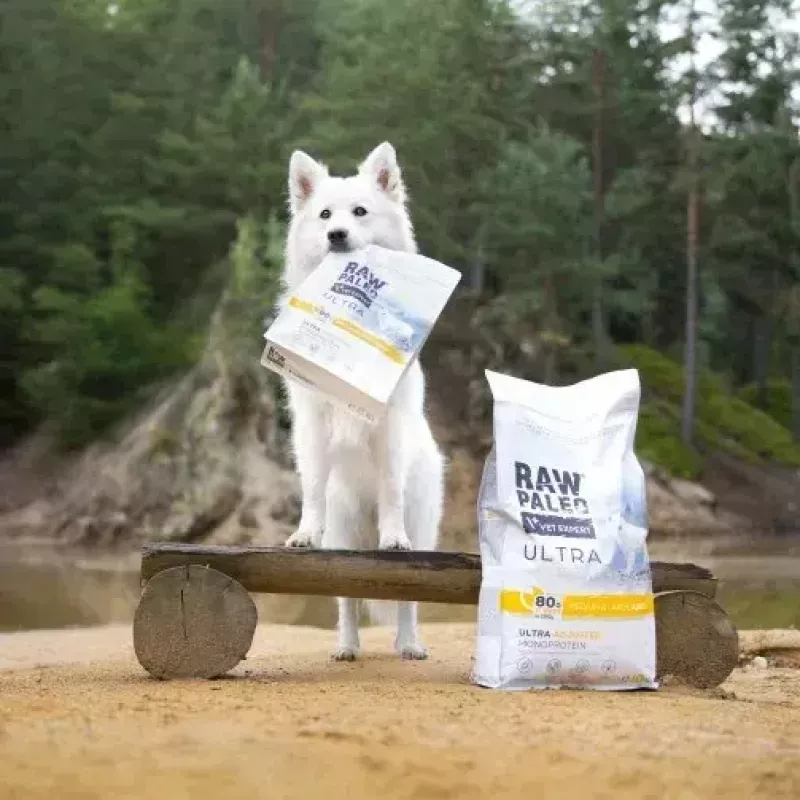 Dry dog food VETEXPERT RAW PALEO Ultra Medium & Large Adult Turkey — 2 kg, grain-free, protein 24.5%, fat 14%