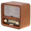 Personal Radio Camry Premium CR 1188