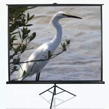 Tripod projection screen Elite Screens T100UWV1 2.54 m (100 inch) 4:3