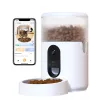 Automatic Pet Feeder IMOU PF1 — 4 L Stainless Steel Hopper, Wi‑Fi 4, Battery/DC Power, 1 Bowl