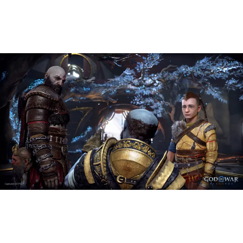 Sony God of War Ragnarök, PlayStation 5, M (Mature), Physical media