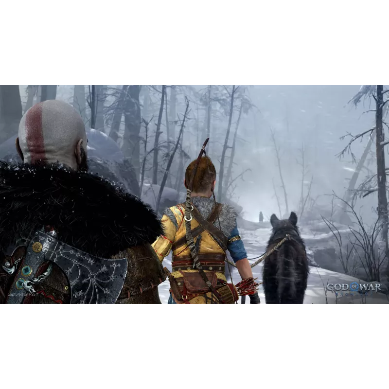 Sony God of War Ragnarök, PlayStation 5, M (Mature), Physical media