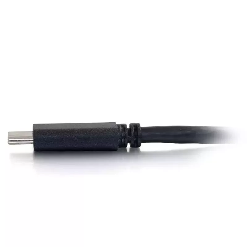 C2G USB-C to DisplayPort Adapter Cable 4K 30Hz 1.8m Black
