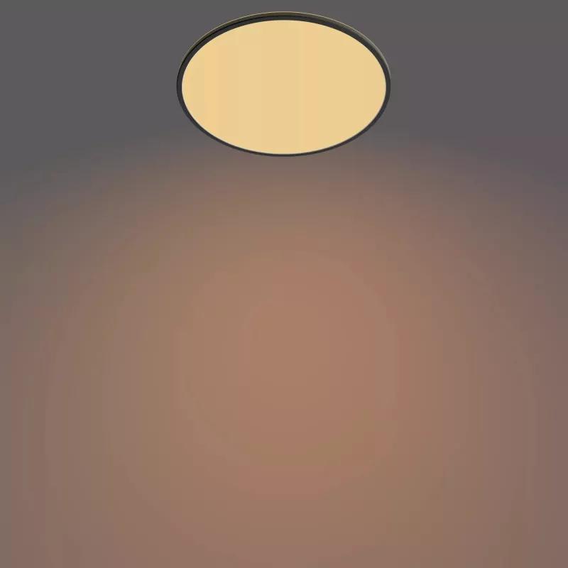 Ceiling Light Philips Functional Super Slim 36 W LED Black Round