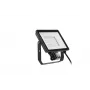 Floodlight Philips LED 50 W 4000 K IP65 Black — outdoor LED floodlight, 50 W, neutral white