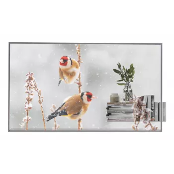 LG 55EW5P-M Signage Display 139.7 cm (55 inch) OLED 600 cd/m² Full HD Silver Touchscreen 18/7