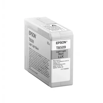 Epson Singlepack Light Light Black T850900, Light light black, Pigment-based ink, 80 ml, 1 pc(s)