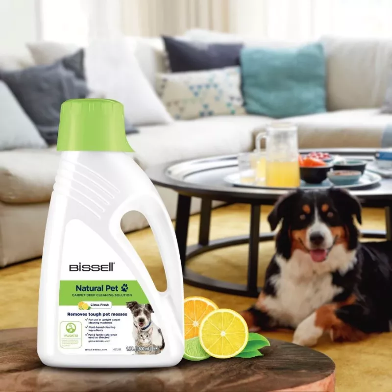 Bissell 3242 carpet cleaner/deodorizer