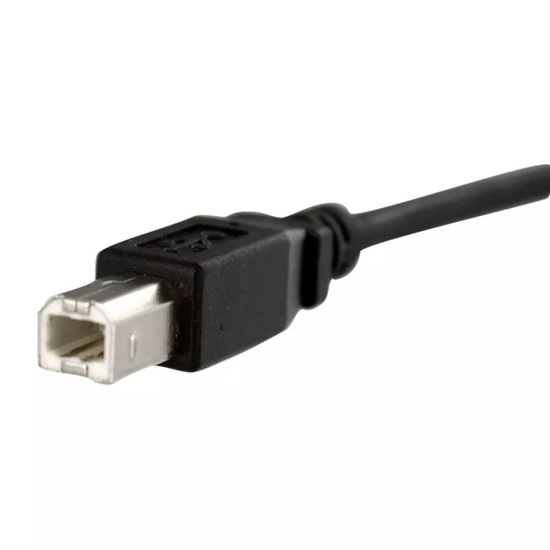 StarTech.com 1 ft Panel Mount USB Cable B to B - F/M, 0.3 m, USB B, USB B, USB 2.0, 0.48 Gbit/s, Black