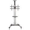 StarTech.com TV Cart - Height Adjustable - Lockable Wheels, 40 kg, 81.3 cm (32 inch), 190.5 cm (75 inch), 200 x 200 mm, 600 x 400 mm, 1110 - 1510 mm