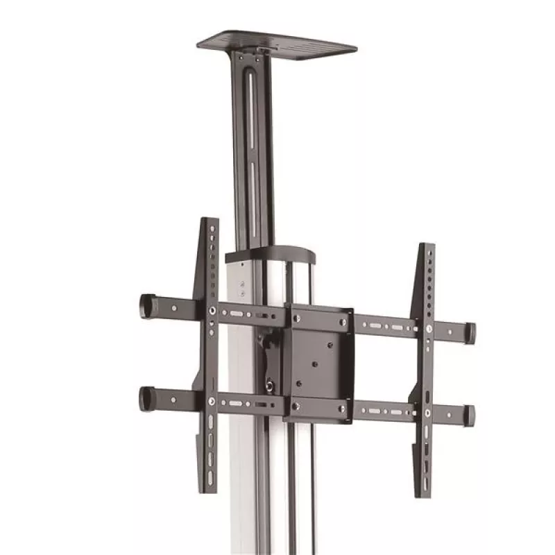 StarTech.com TV Cart - Height Adjustable - Lockable Wheels, 40 kg, 81.3 cm (32 inch), 190.5 cm (75 inch), 200 x 200 mm, 600 x 400 mm, 1110 - 1510 mm