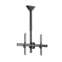 StarTech.com TV Ceiling Mount - Full-Motion Universal Hanging Single Screen Mount with Adjustable Telescopic Short Pole - Tilt / Swivel - VESA Bracket for 32”-75 inch Displays